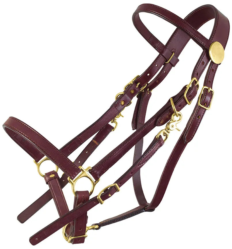 Tucker Classic Lite Halter Bridle