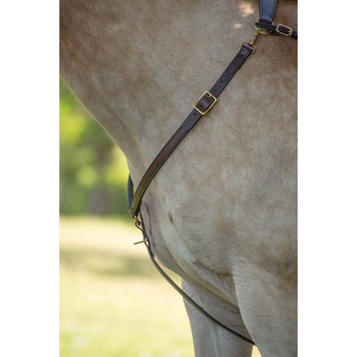 Tucker Montreal Breast Collar