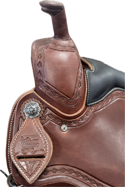 Rocky Mountain Western Dressage 17 SQH