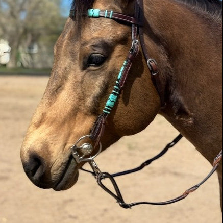 Filete de anilla Concha