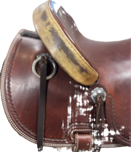 Association Rancher 16.5 FQH