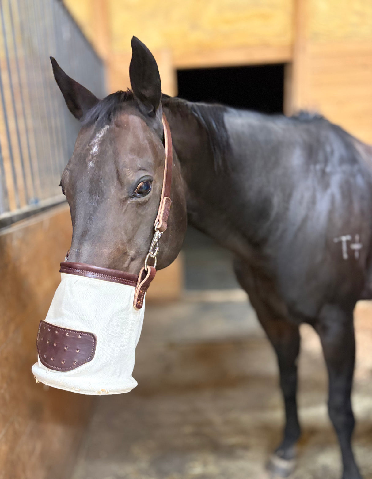 Leather Bottom Feed Bag