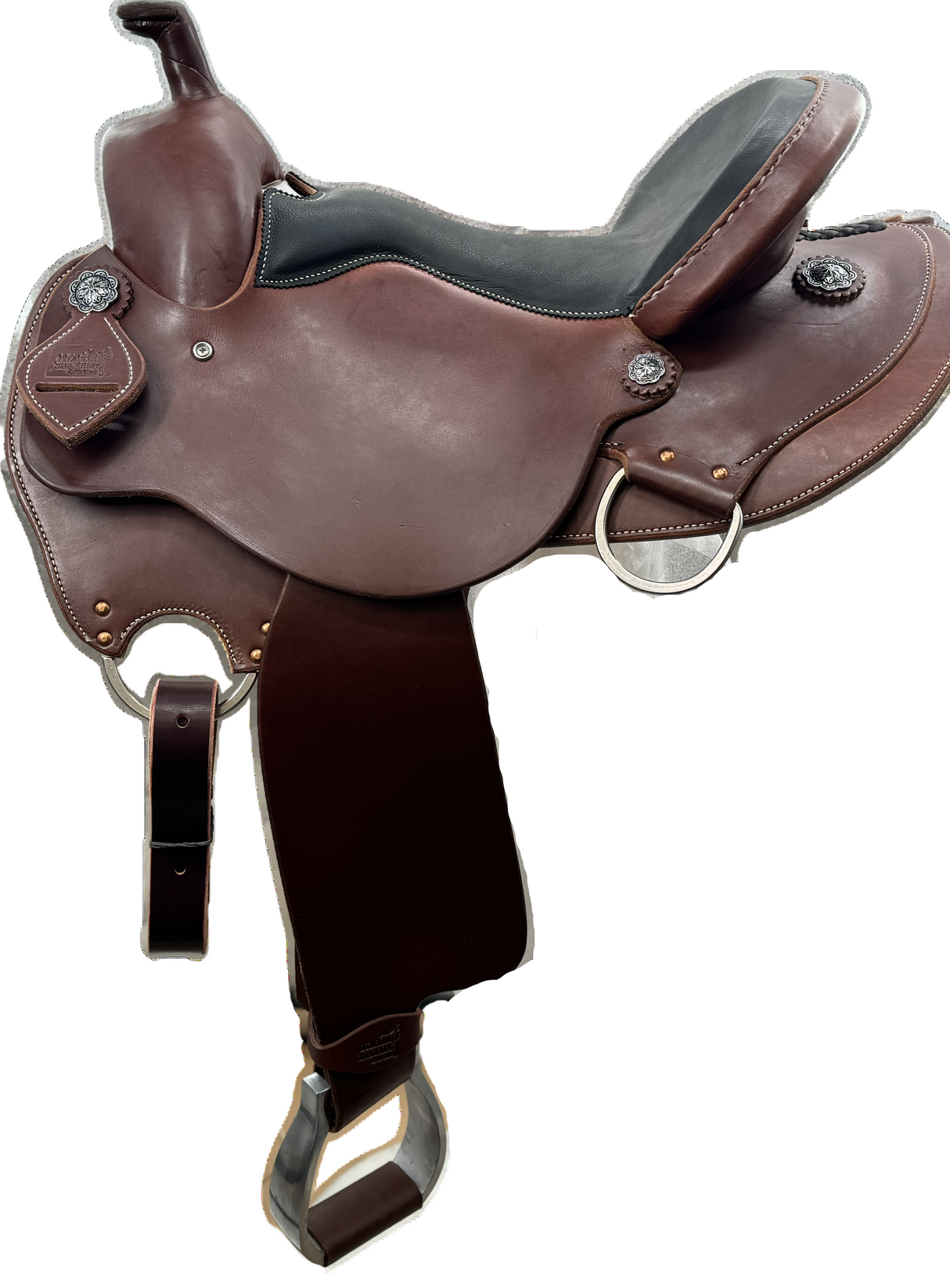 Western Dressage 16"
