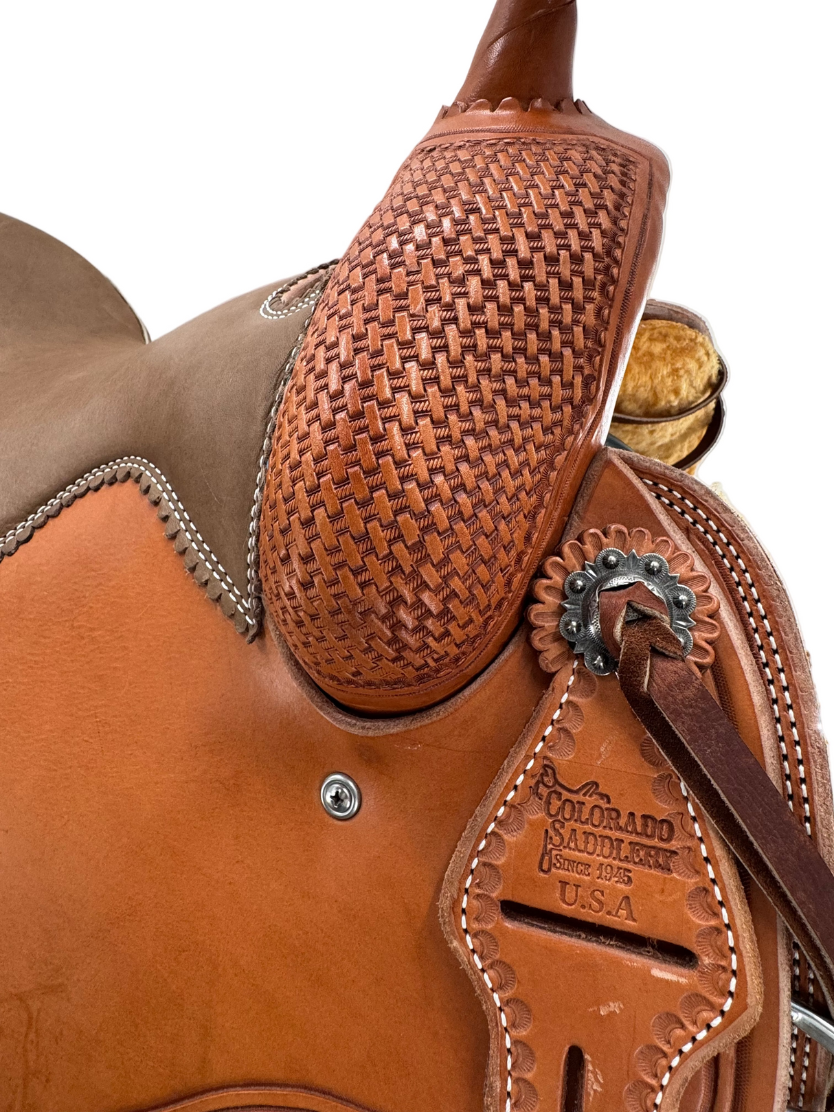 Colorado Mountain Trail 15.5" FQH