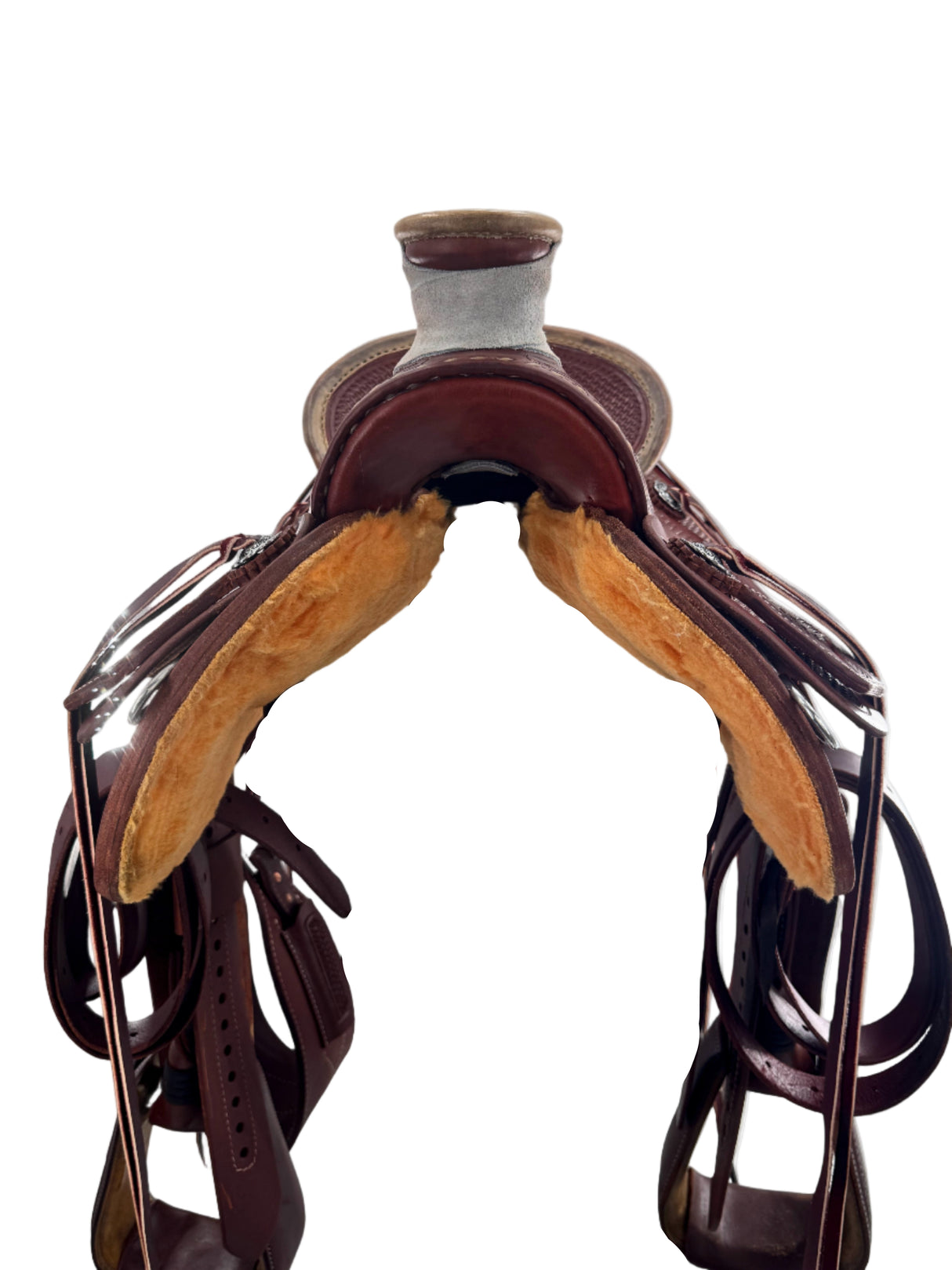 Colorado Saddlery Wade 15.5 FQH