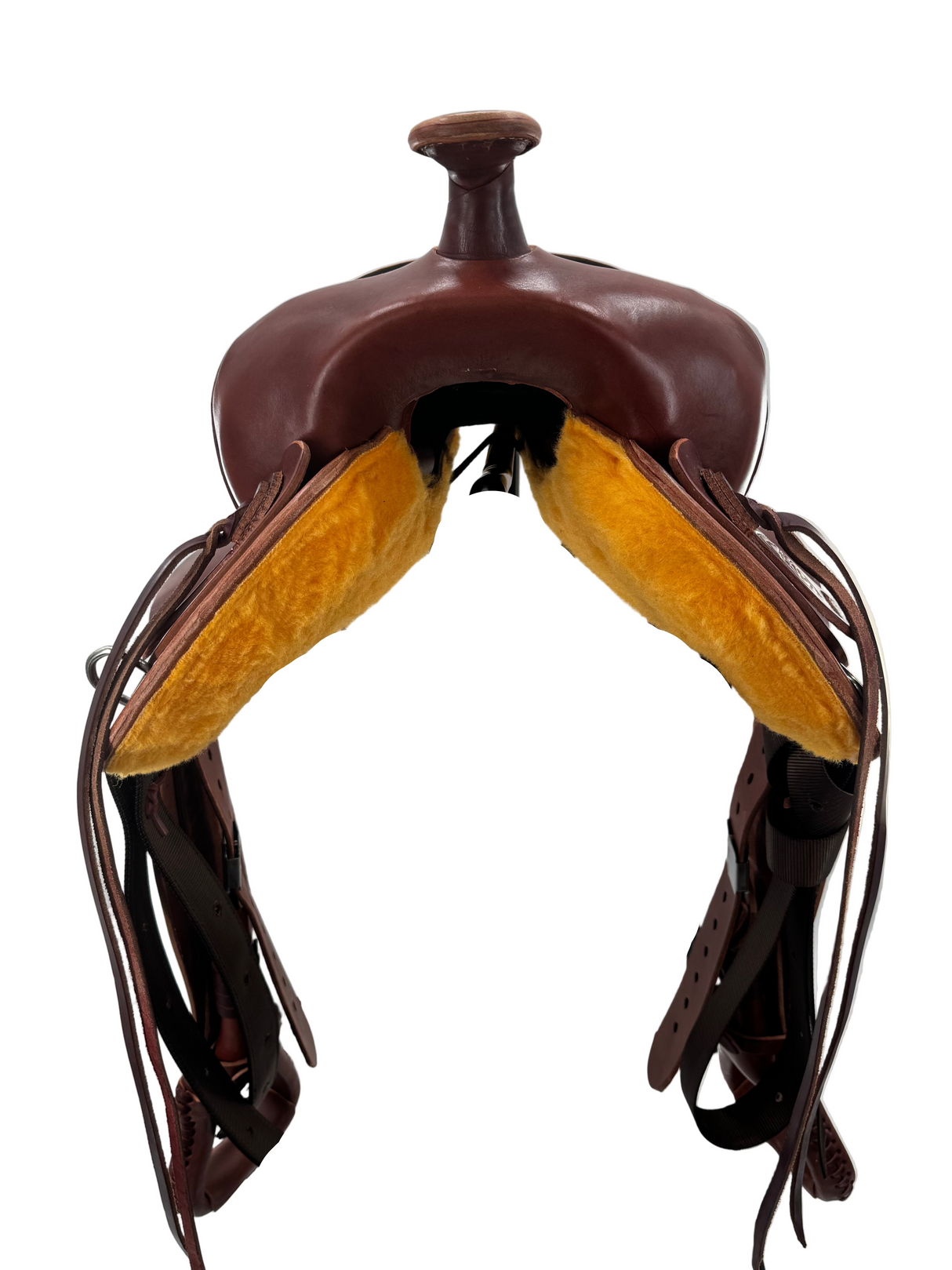 Bear Valley Trail Master