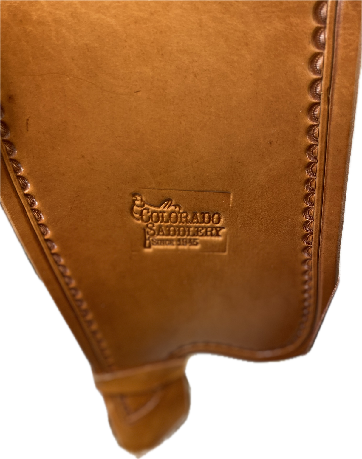 Elk Mountain Ranch Half Draft 15.5"