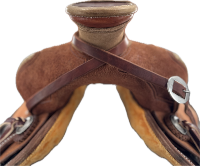 Will James Dally publica 15 QH