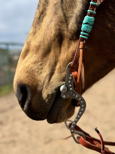 Turquoise Rawhide Light Oil Browband Headstall