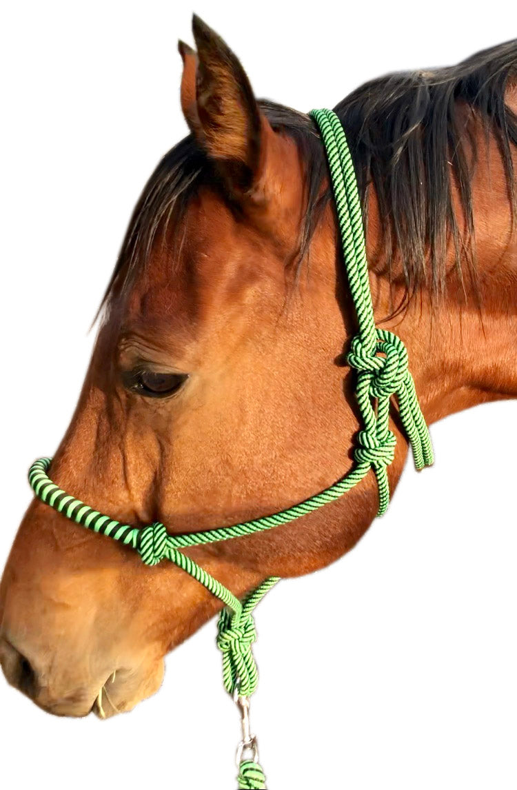 New Knotted Halter (Assorted Colors & Sizes)