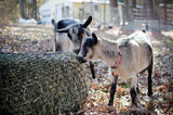 Square Bale Hay Net