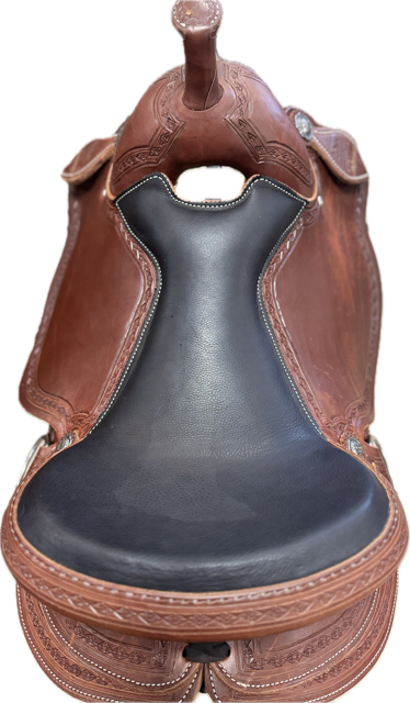 Rocky Mountain Western Dressage 17 SQH