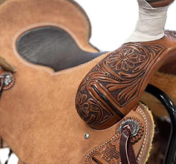 Asociación Ganadero 15.5 FQH