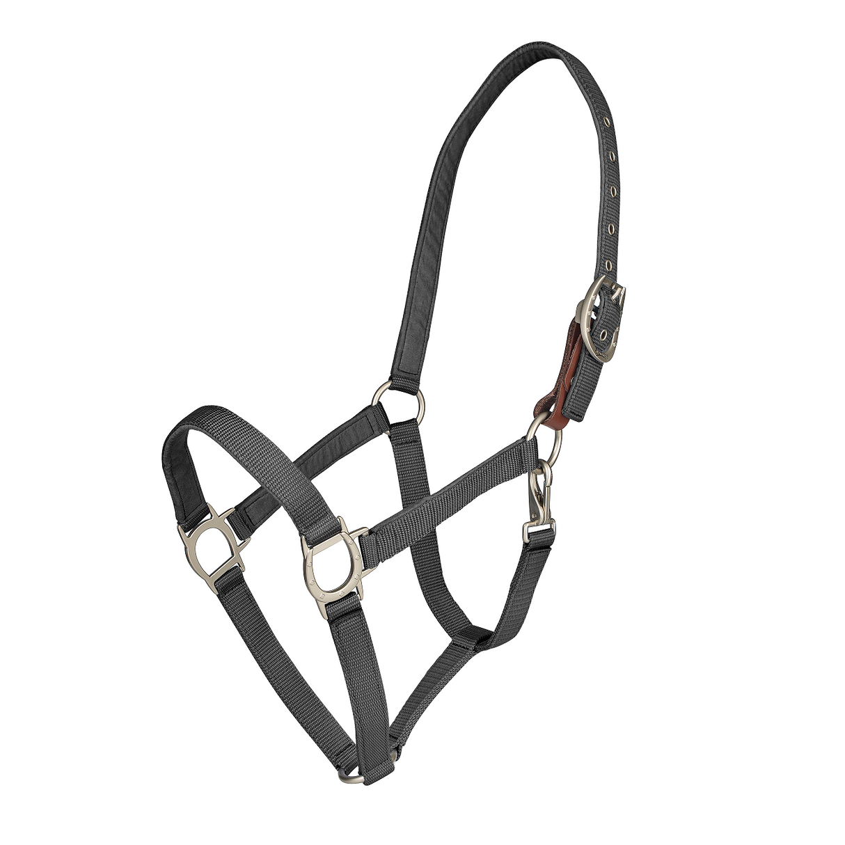 Color Collection by Ovation® Lucky Breakaway Halter - Black
