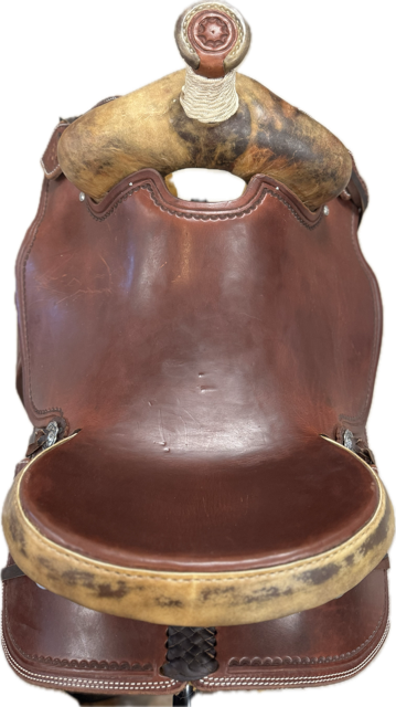 Asociación Ganadero 16.5 FQH