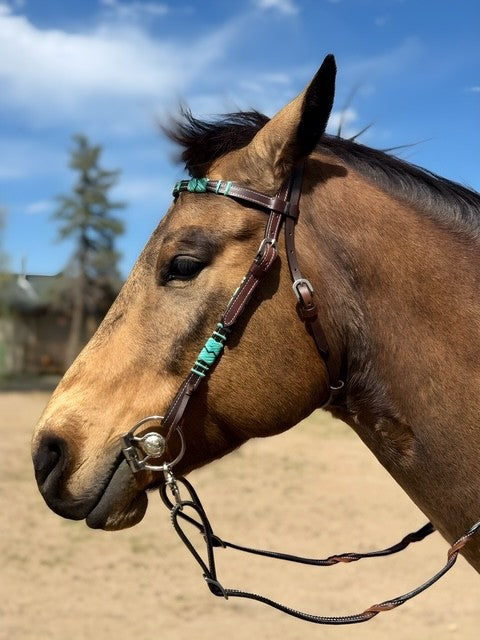 値下げしました。WILDSWANSFULLGRAIN BRIDLE / CASA 値下げしました。WILDSWANSFULLGRAIN BRIDLE / CASA The timeless and