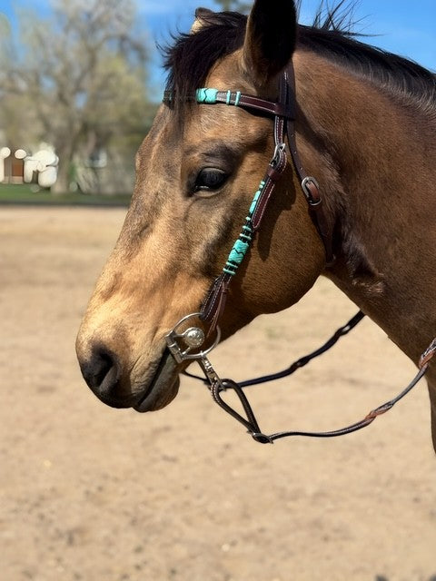 Turquoise Rawhide Dark Leather Browband Headstall – Colorado Saddlery