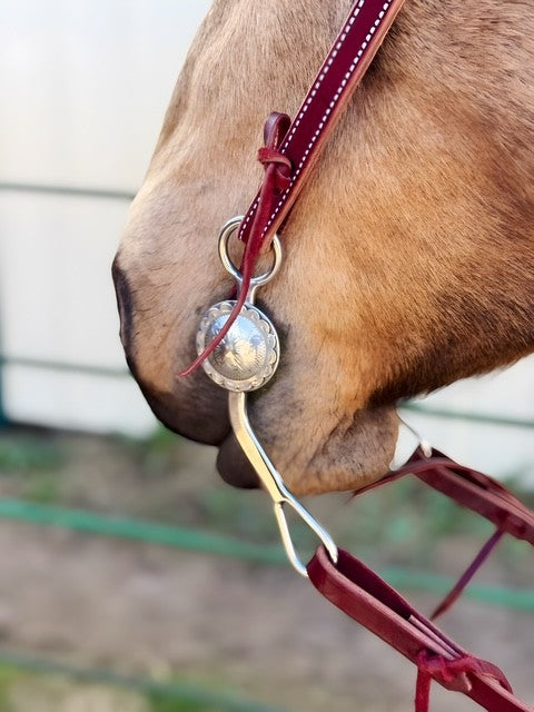 Latigo Leather Headstall - 5/8