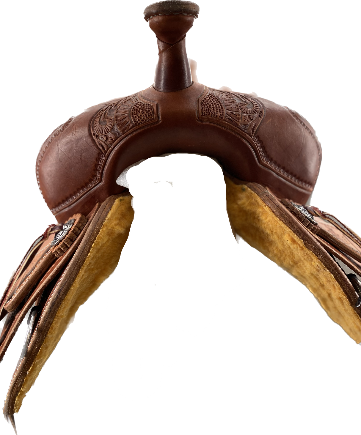 Barrel Racer de 14,5"