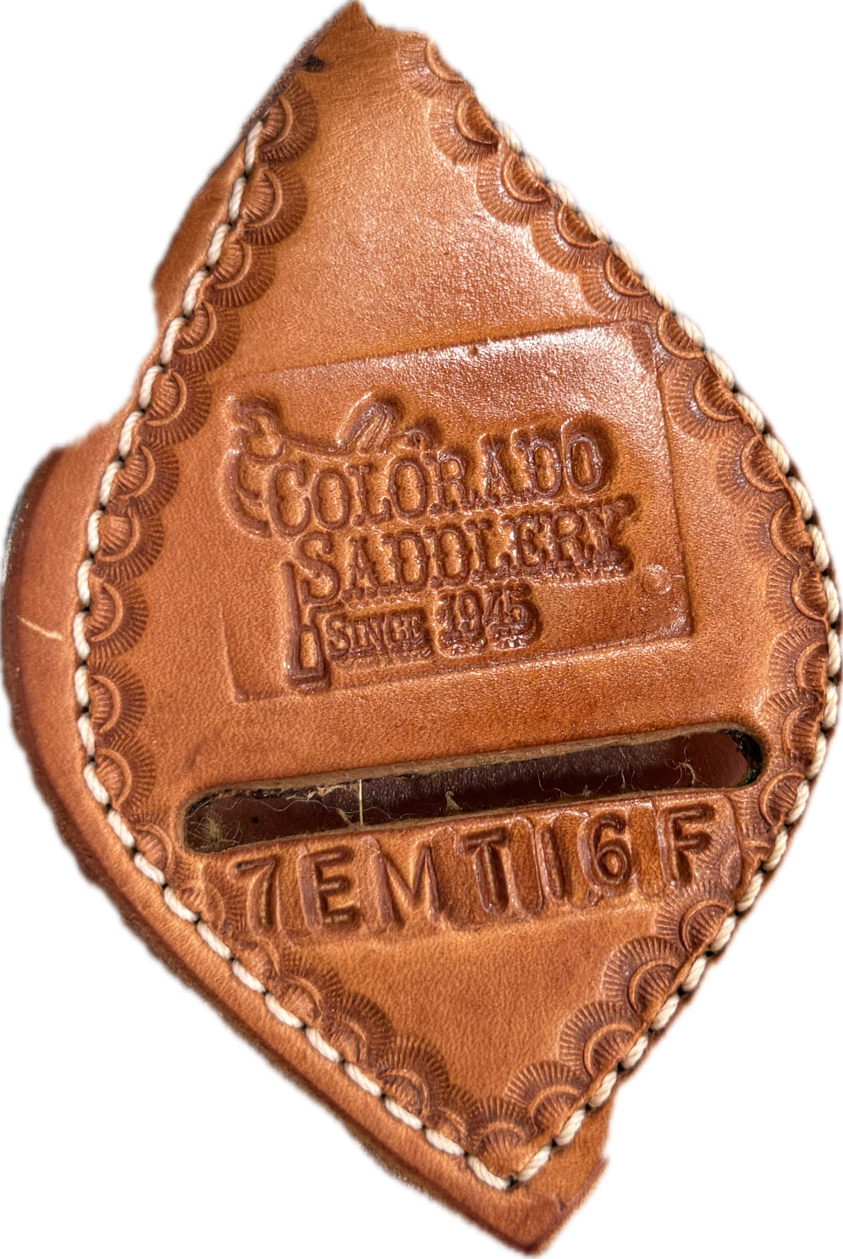 Elk Mountain Trail 16"