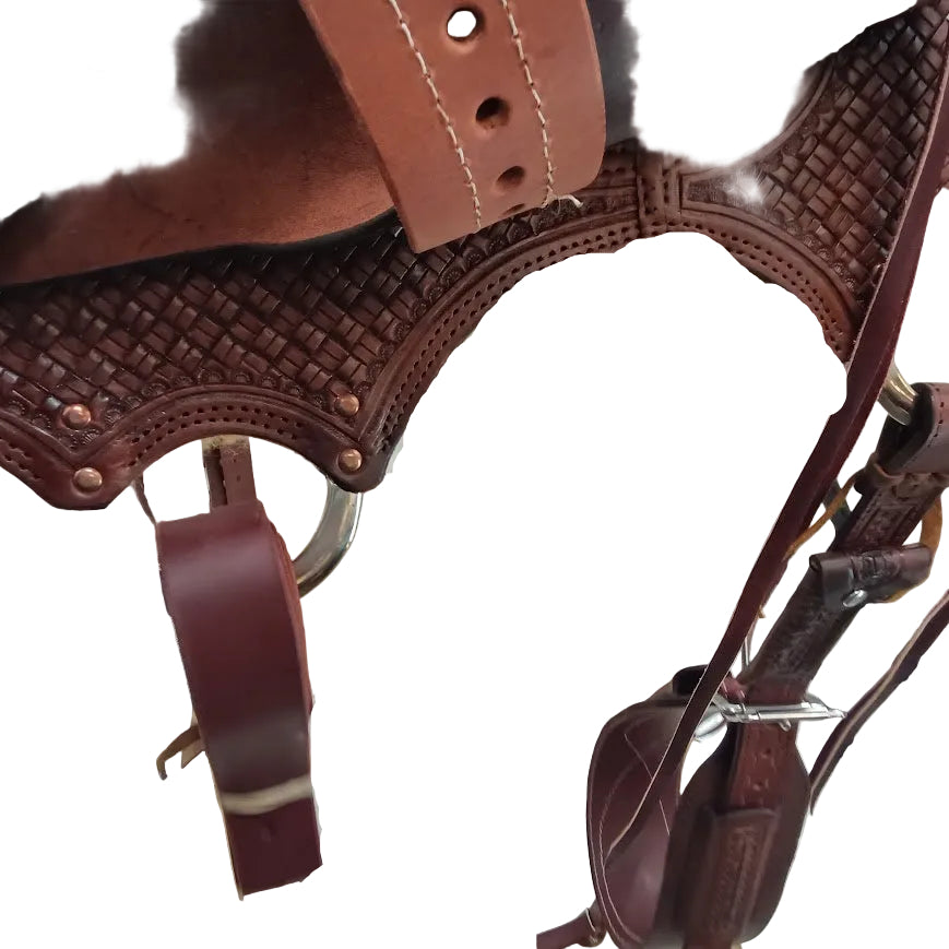 Will James Rancher 15.5"