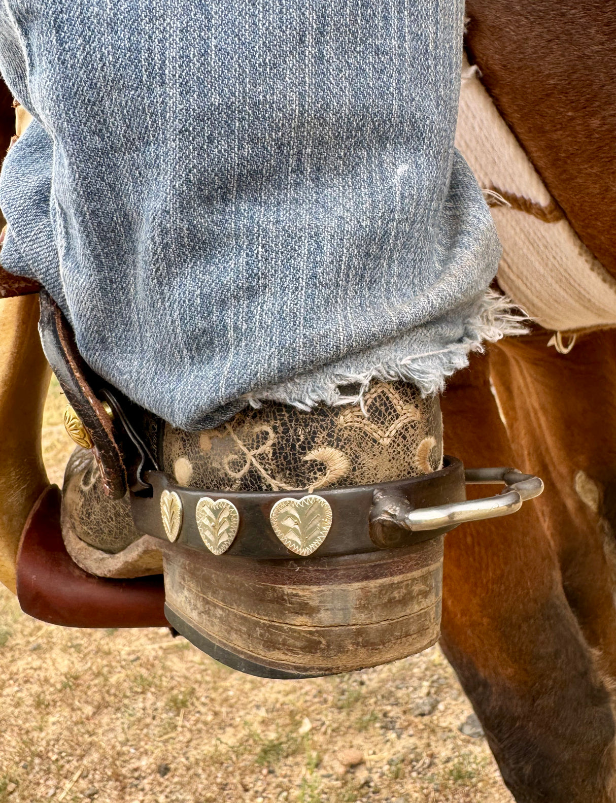 Flying Heart Bumper Spurs