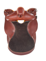 Bear Valley Trail Master