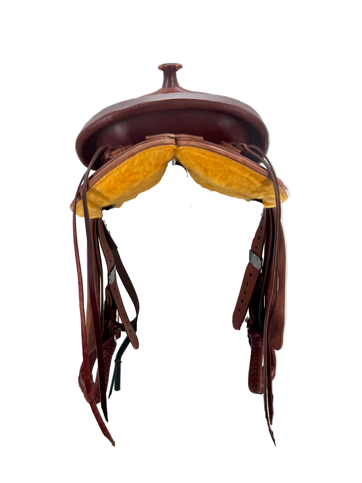 Bear Valley Trail Master