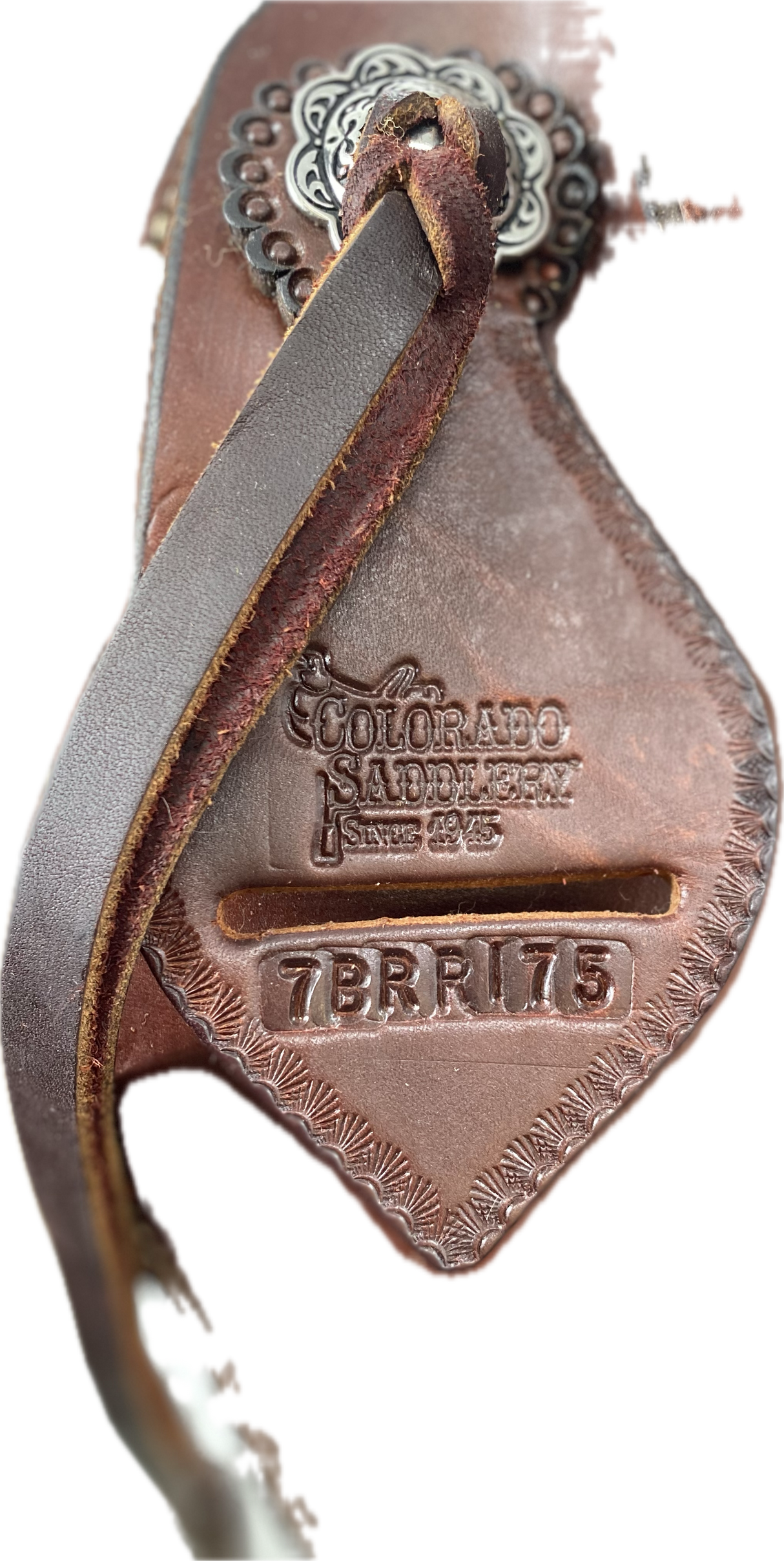 Bitter Root Rancher 17.5"