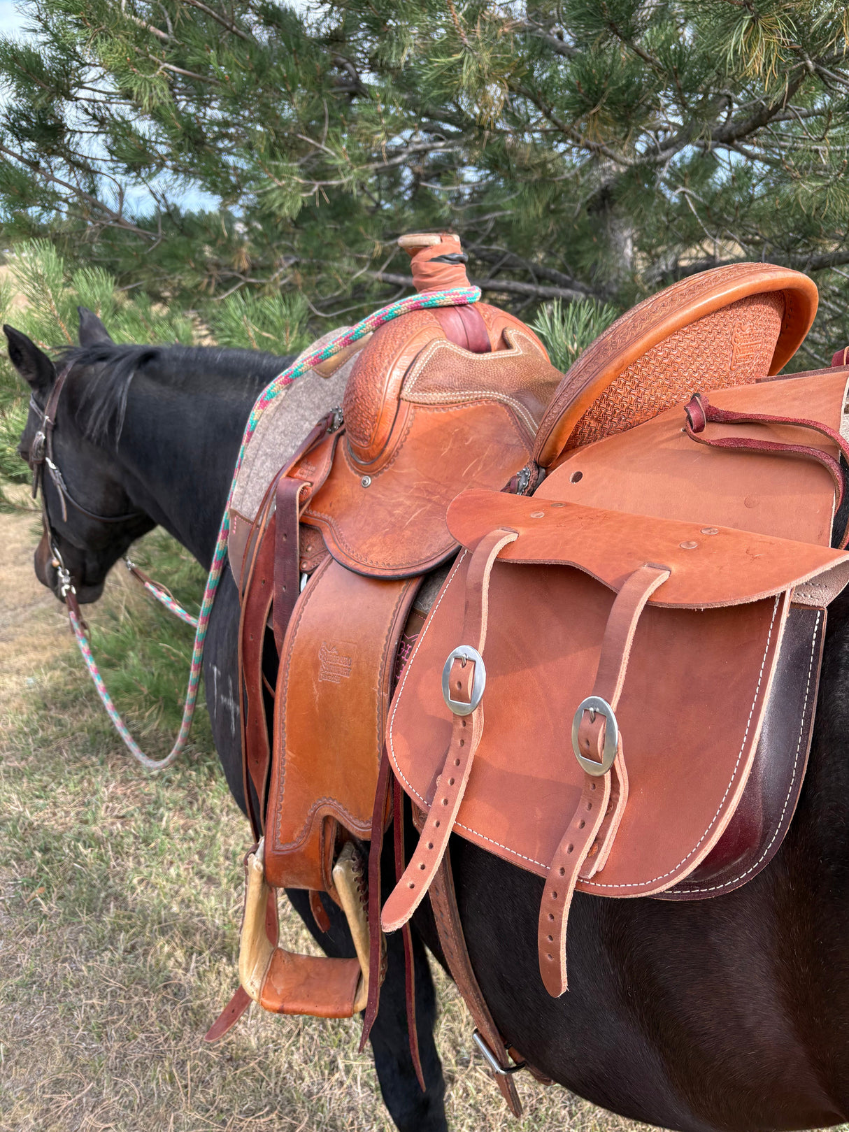 Alforjas de cuero de calidad extra