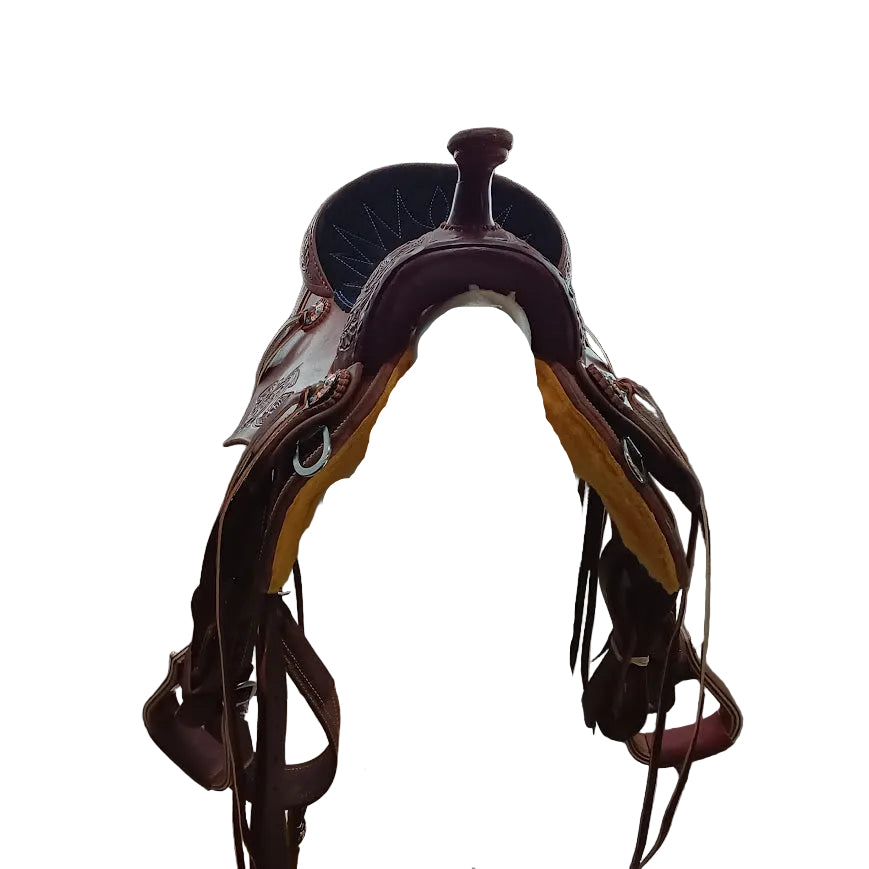 Western Dressage gullet