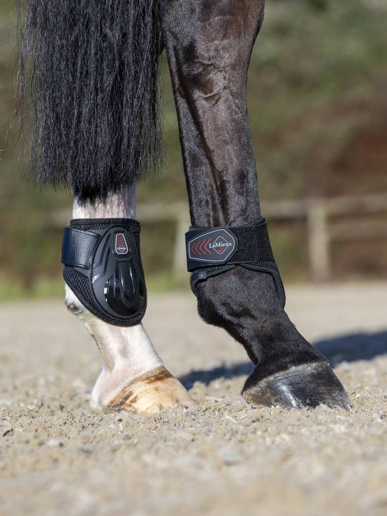 LeMieux Derby Projump Fetlock Boot Negro 