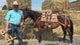 Deluxe Pack Saddle