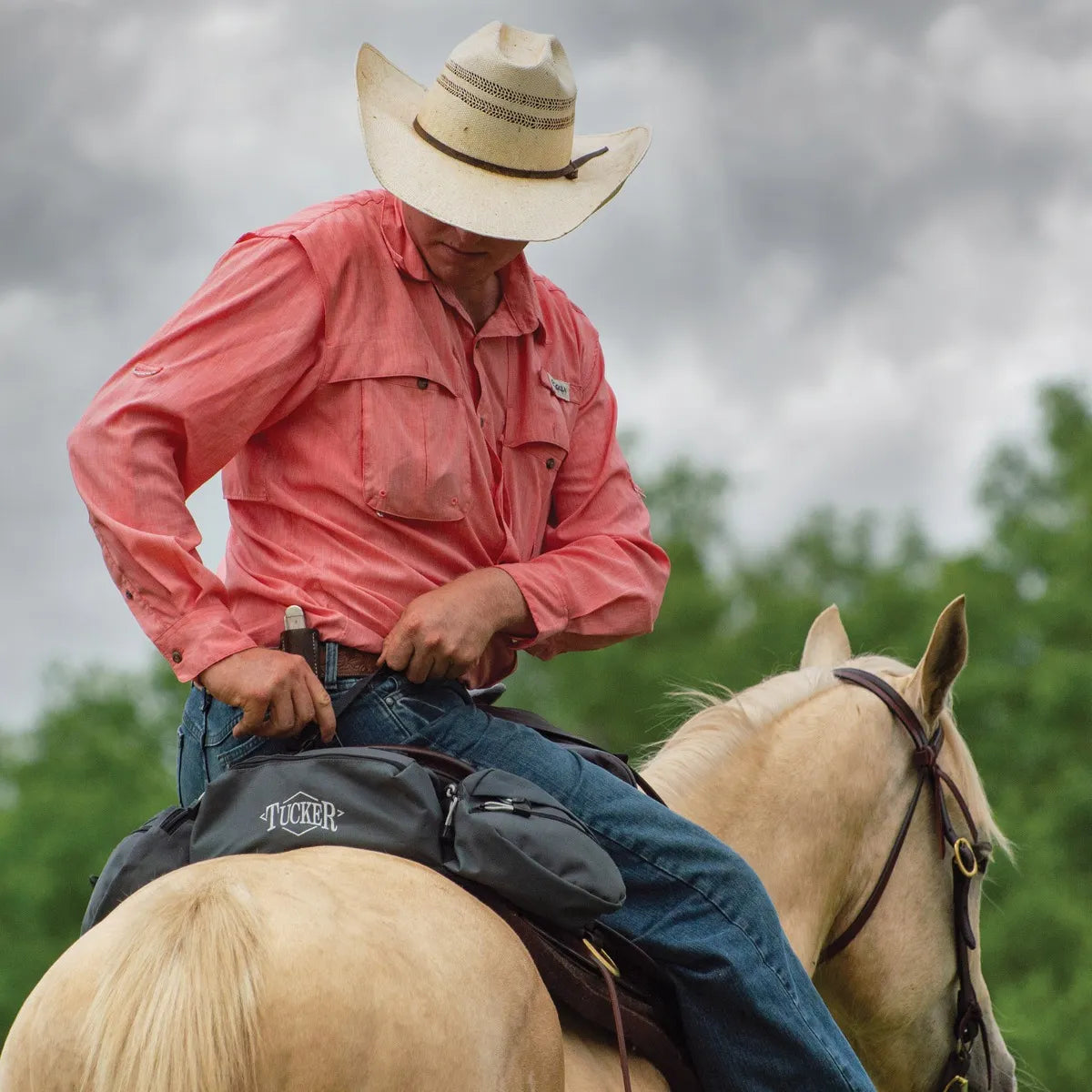 Tucker Day Tripper Cantle Bag