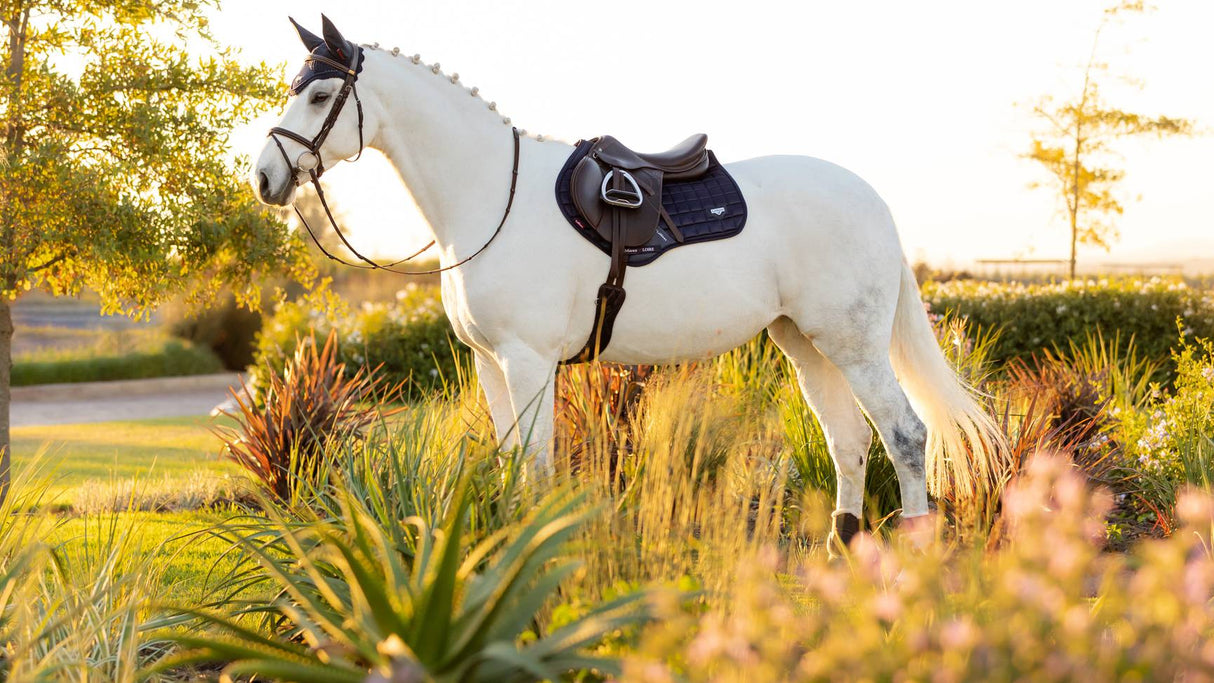 LeMieux Loire Classic Close Contact Square Navy 