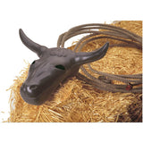 Cabeza de novillo Jr.