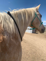 Cuerda para el cuello