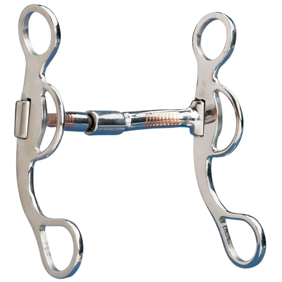 Broca para rodillo de cepillo