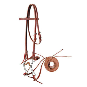 Browband Bridle with Curb Bit Set
