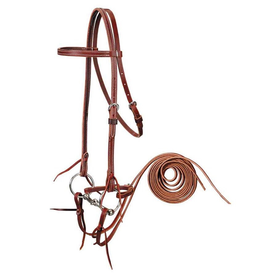 Browband Bridle with Snaffle Bit Set