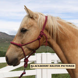 New Knotted Halter (Assorted Colors & Sizes)