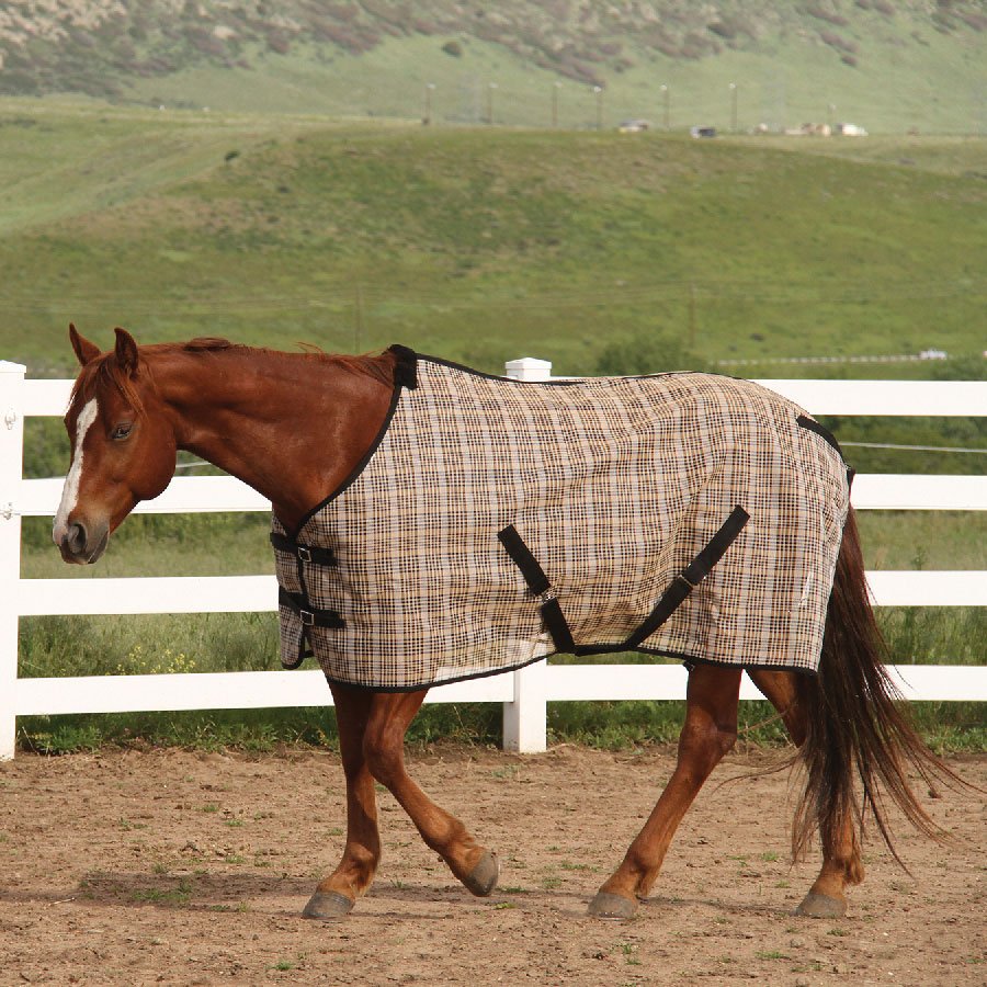 Mosquitera Centurión